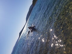 20230629_171939.jpg