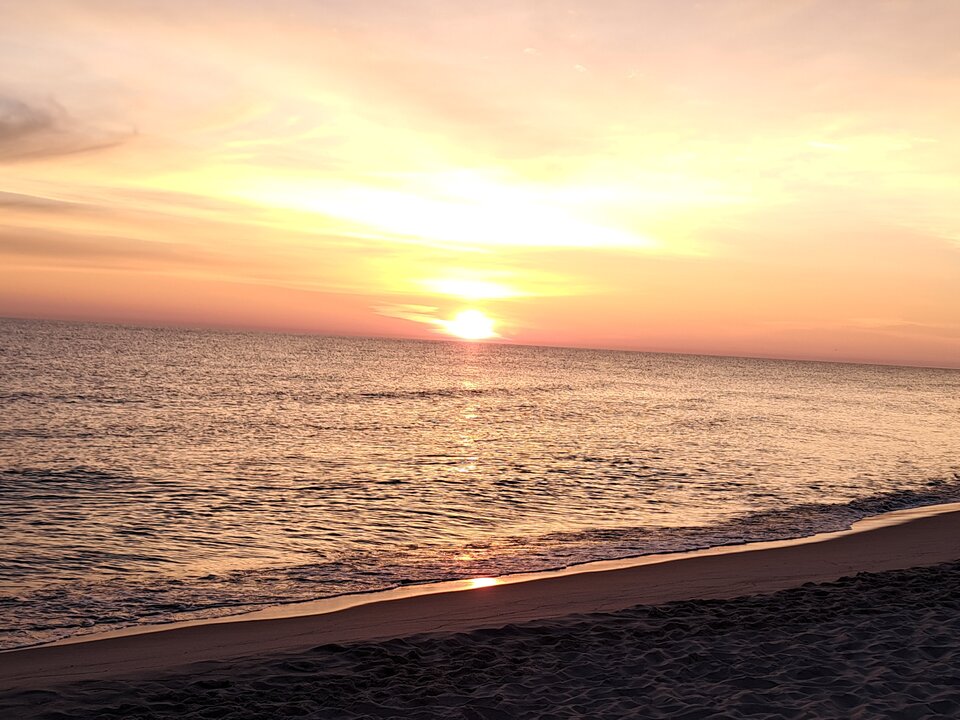 1000006731.jpg - 9locyz9