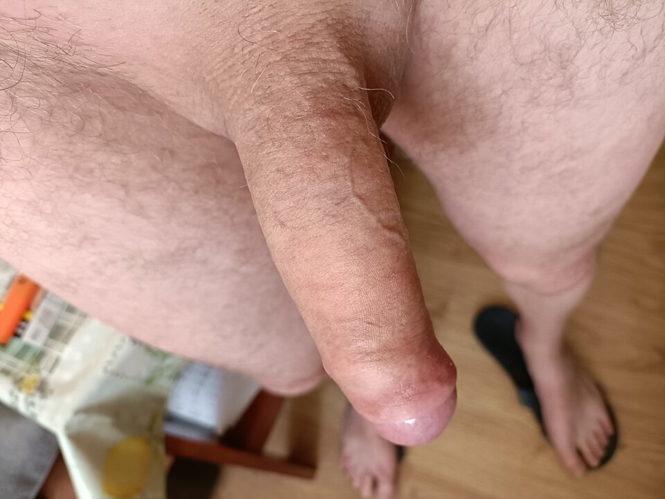 16888044354014764041379731227536.jpg - ardas1