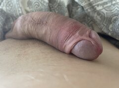 IMG_6530.jpeg