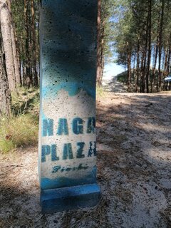 IMG_20230708_100529.jpg