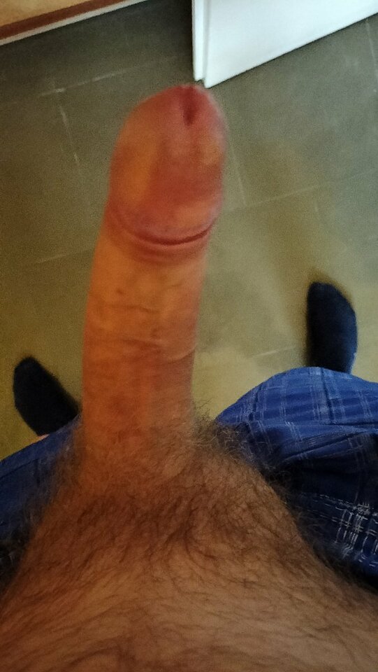 big_5cdc374c7a6498e89c83b80ca63e9fbc.jpg - wawianin