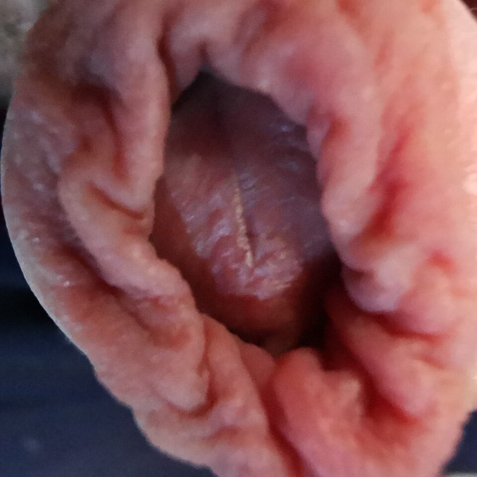 IMG_20230708_131830.jpg - Zi0001