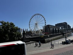 IMG_1302.jpeg
