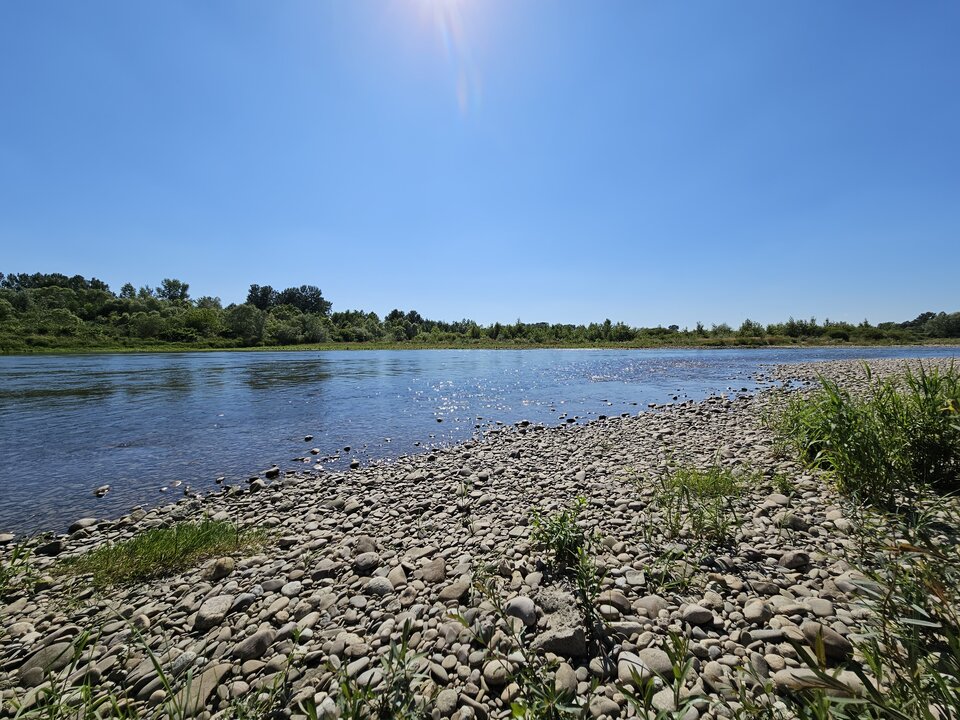 Cisza i spokój - misiaky