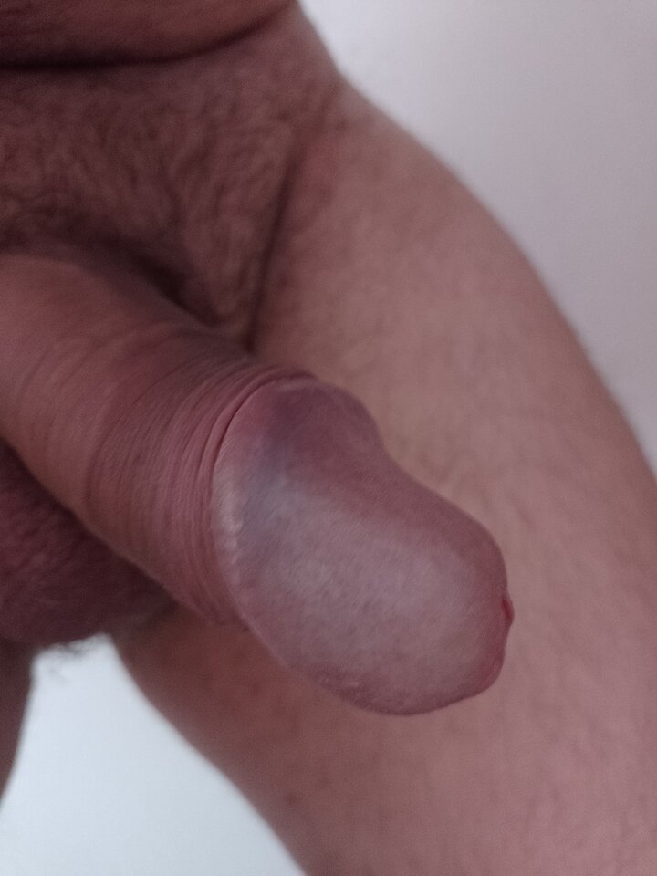 16888362680872694791096787318556.jpg - bubus74