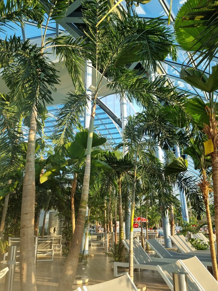 1688838071046668188934215212915.jpg - Sqerma