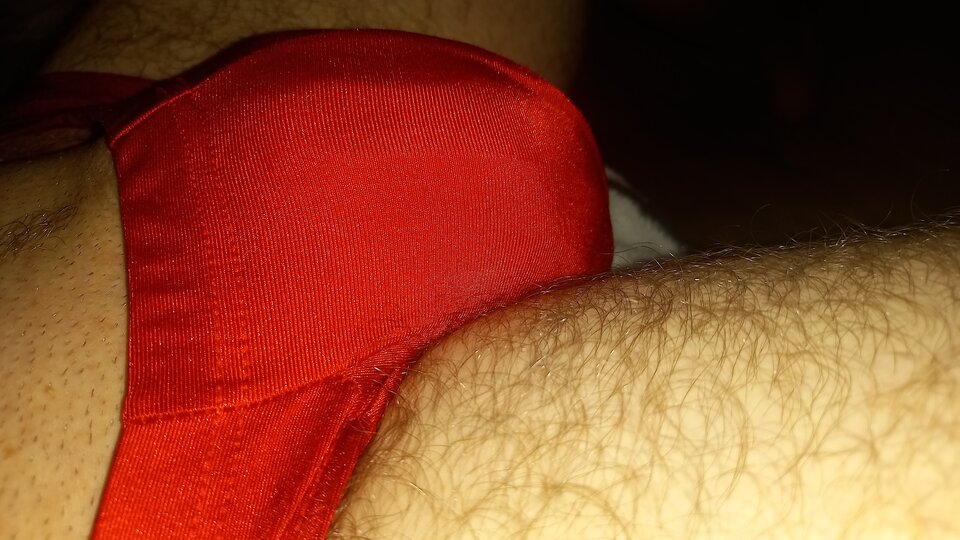 1688851680034573066502034748456.jpg - Tygrysek3329