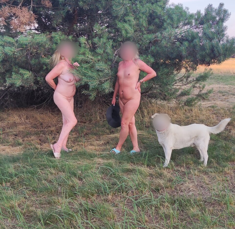 IMG_20230709_052245.jpg - nocna_para