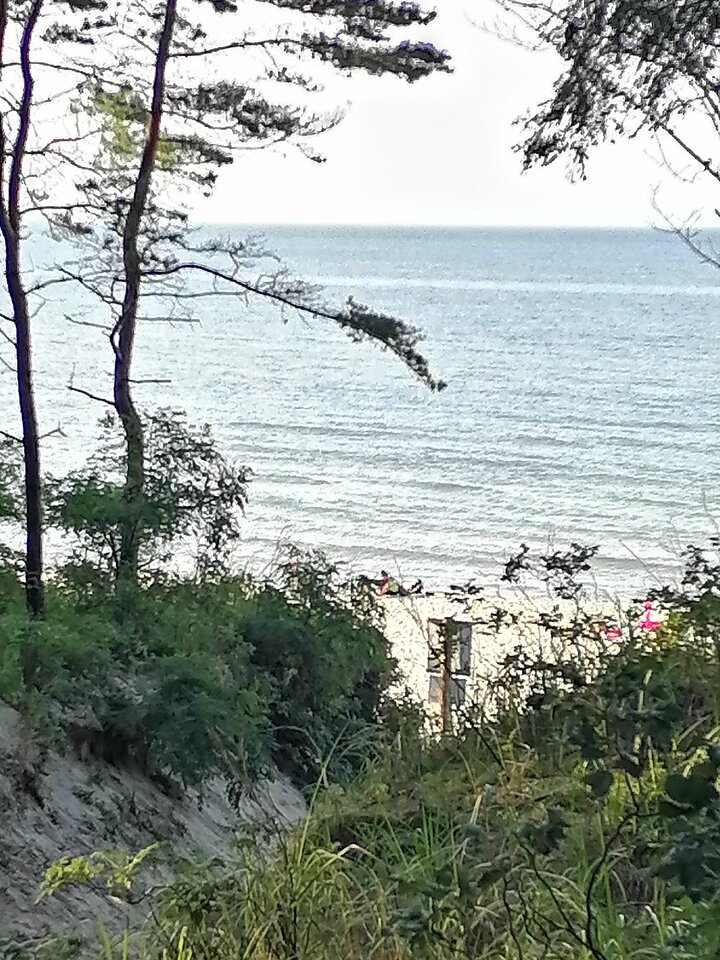 IMG_20220827_164347.jpg - Tom53Tom