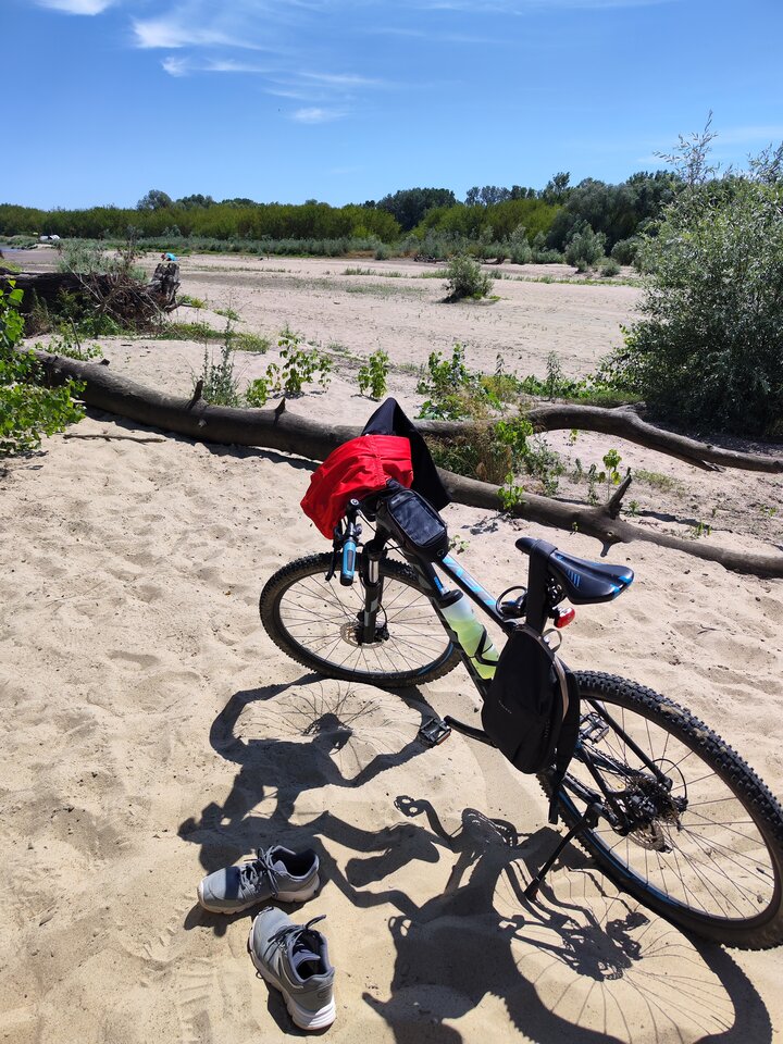 2023-07-0913.18.32861838541918681514.jpg - tom6970