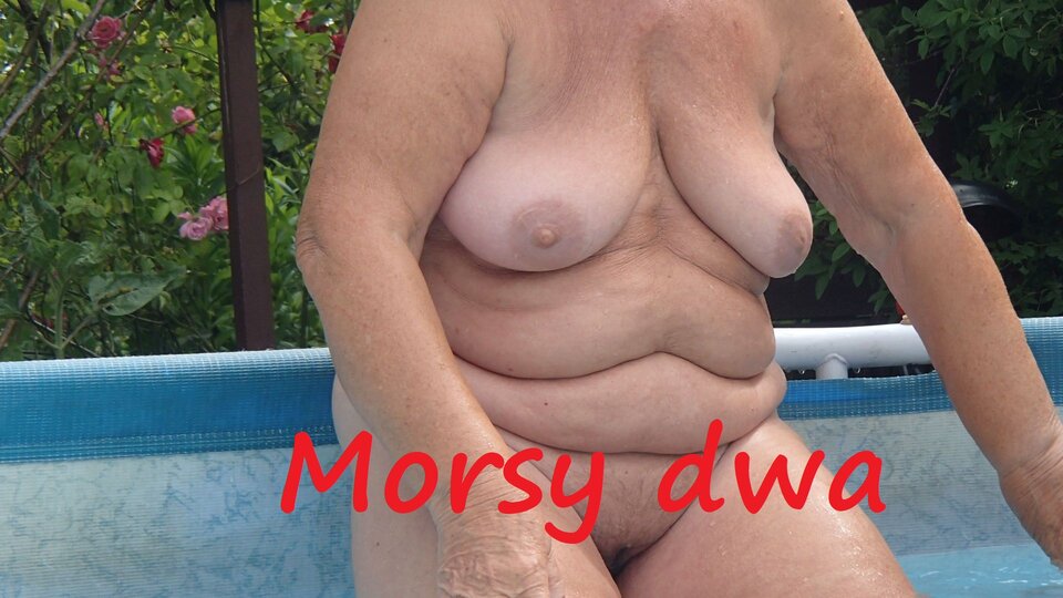 Zanurzanie. - Morsy_dwa