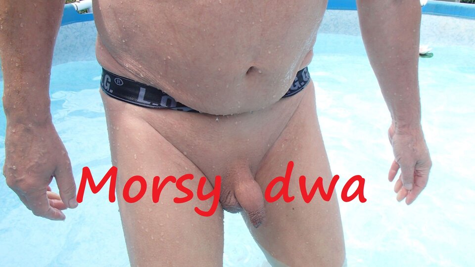 Mini. - Morsy_dwa