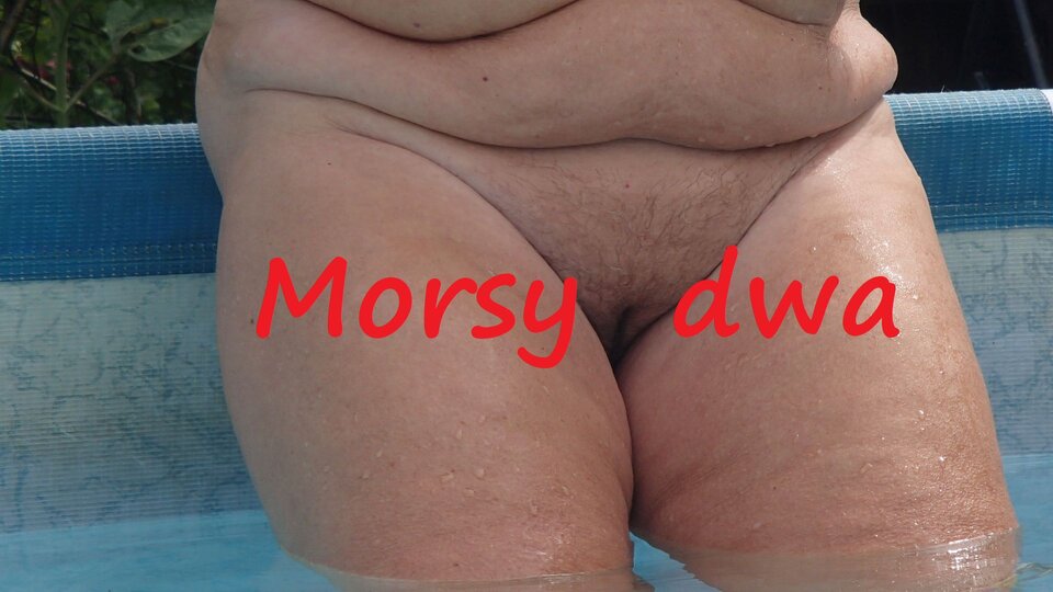 Zanurzanie. - Morsy_dwa