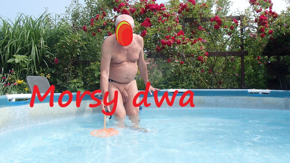 Motylek czy rybka ? Rybka. - Morsy_dwa