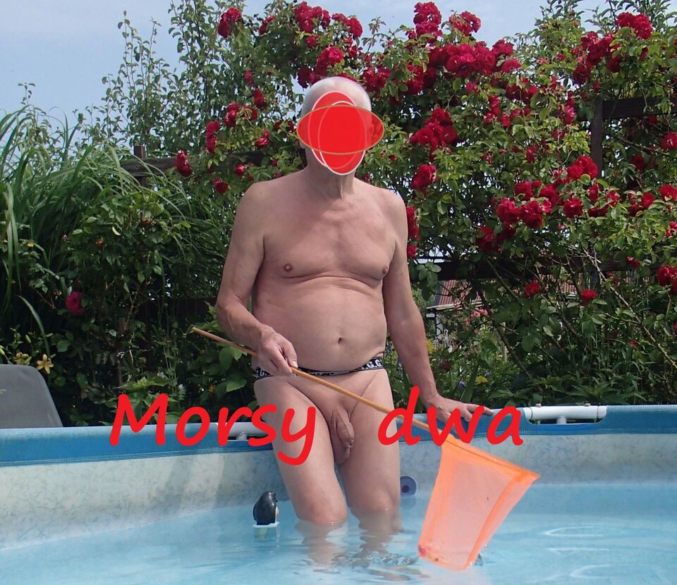 Motylek czy rybka ? - Morsy_dwa