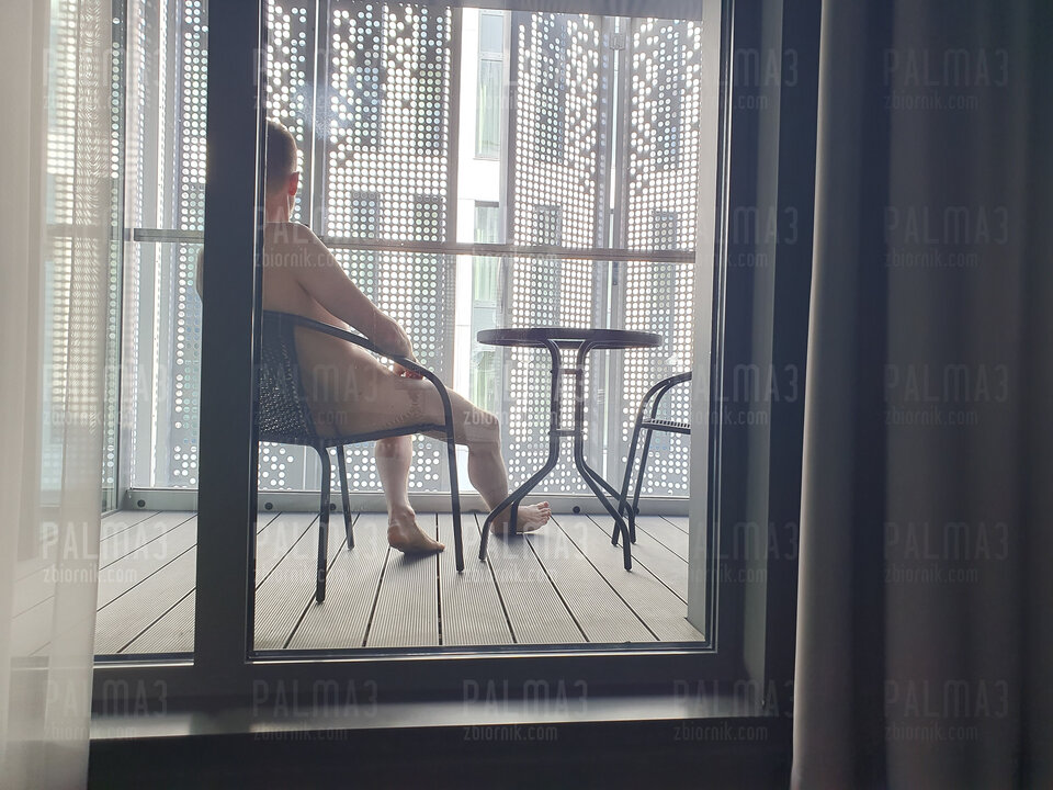 Odpoczynek w Gdańsku  - palma3