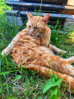 IMG_1898.jpeg