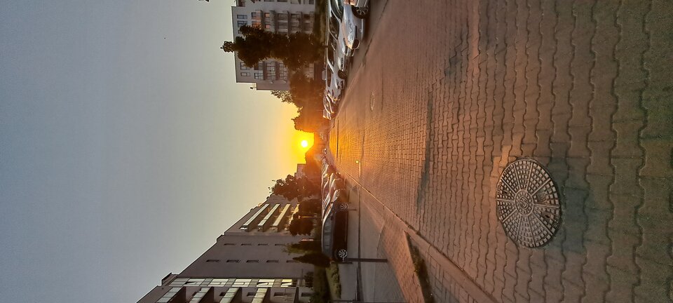 20230708_204253.jpg - papudrok