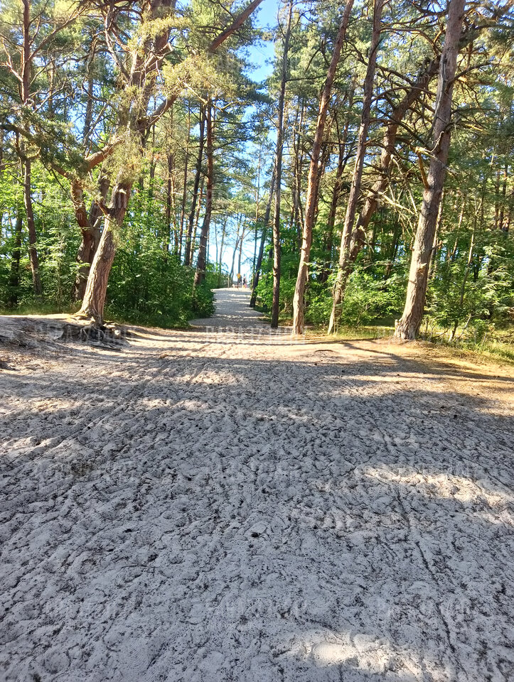 IMG20230709174942.jpg - PARA3734my