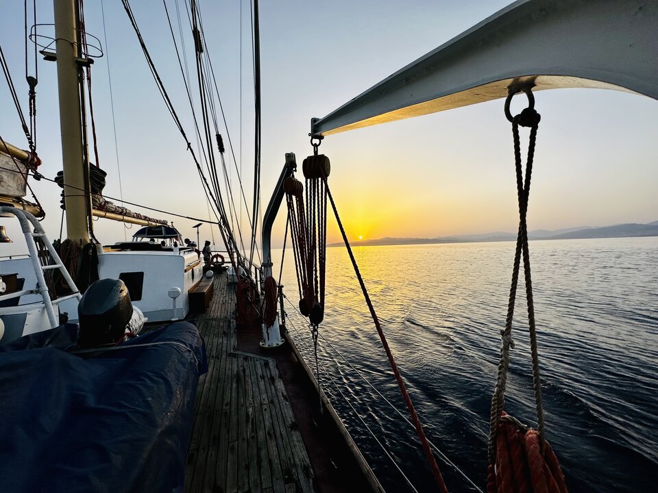 IMG_3042.jpeg - mwawrowski