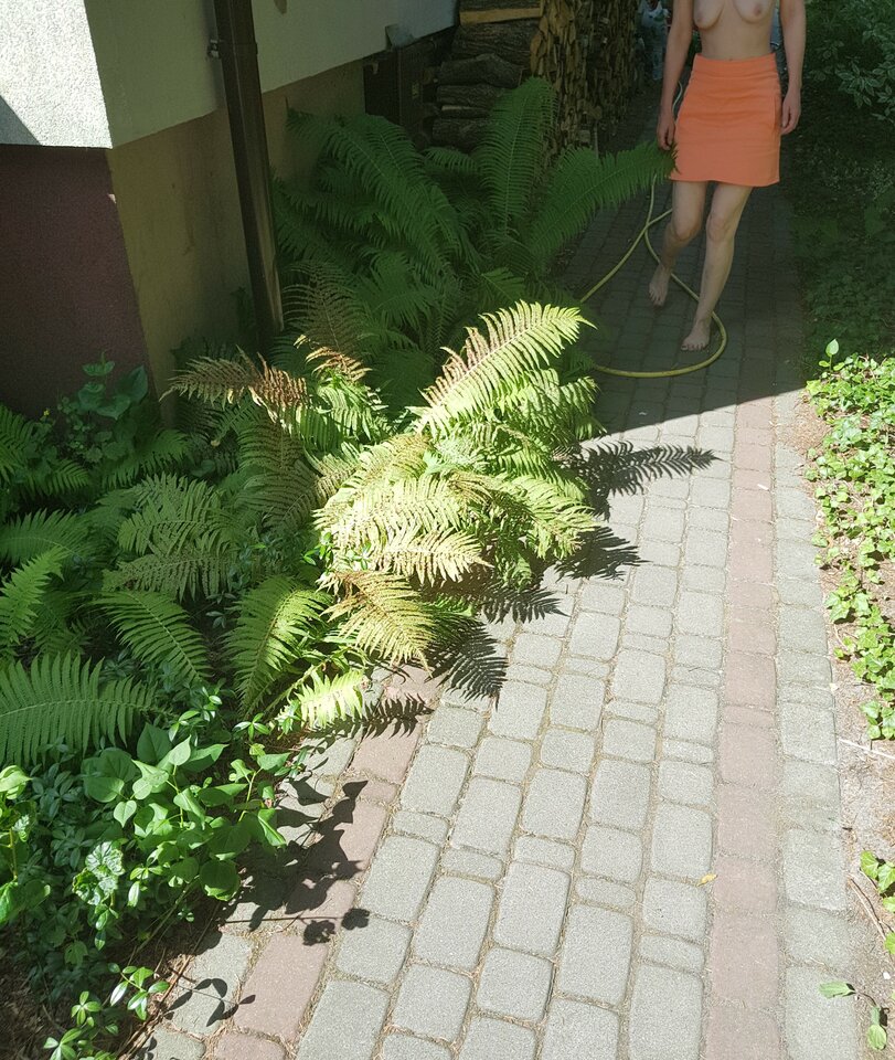 20230709_153816.jpg - 2017ONI