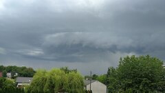 IMG_20230705_184047.jpg