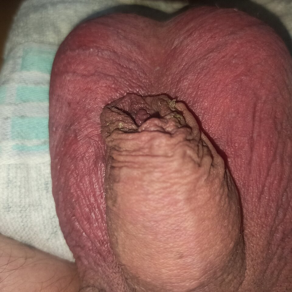 IMG_20230710_205511.jpg - slodki0