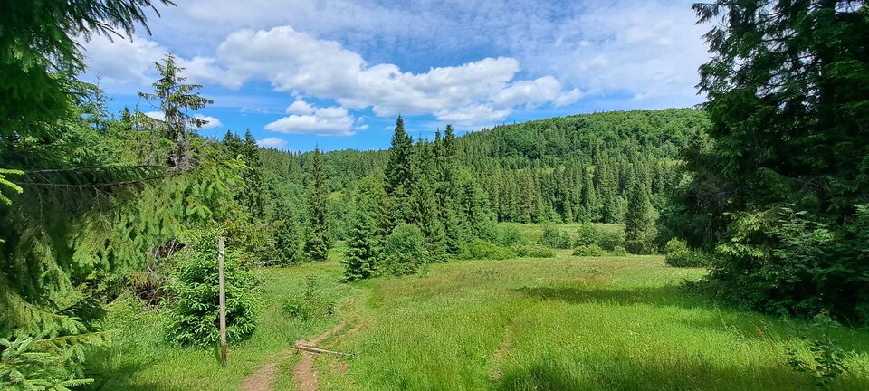 Bieszczady - dawidow52