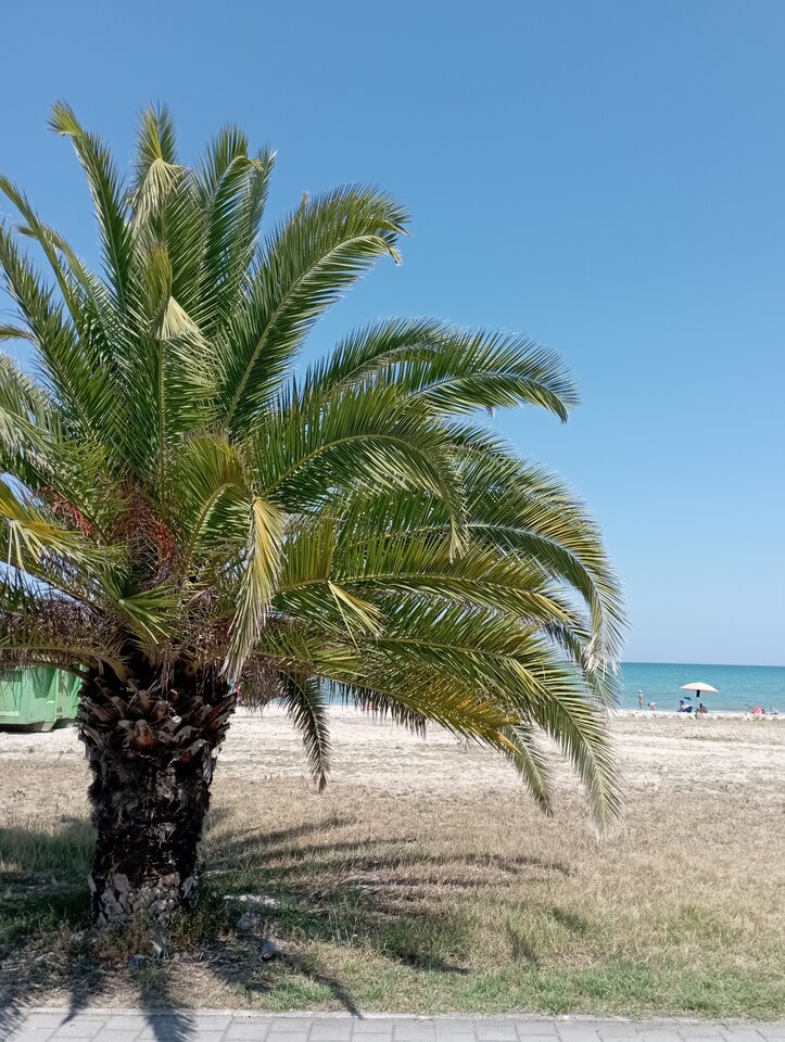 IMG_20230711_195313.jpg - 19slaw79