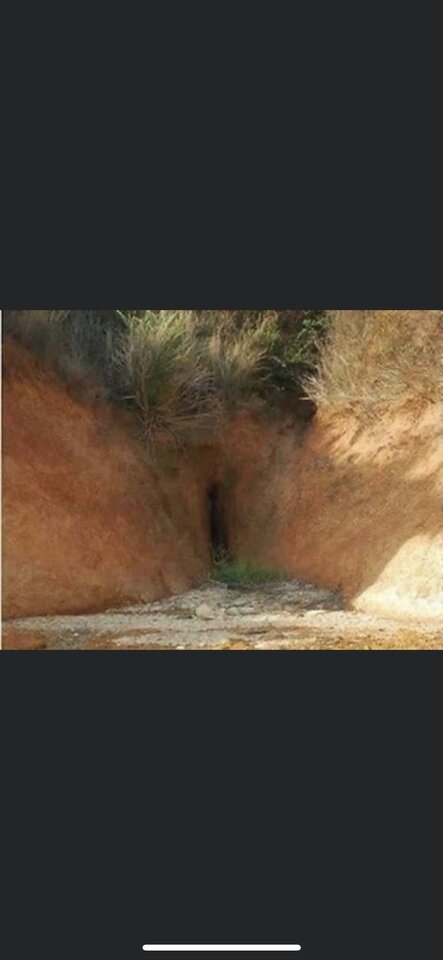 D596FDEB-B5DF-48C0-8F23-5B690F7AC4C3.jpeg - amenadiel1