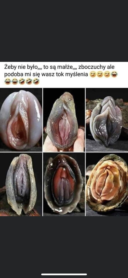 1B8EAD02-4CF0-4D05-A847-3011744591FF.jpeg - amenadiel1