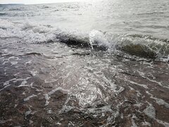 A morze tak, a może nie... 