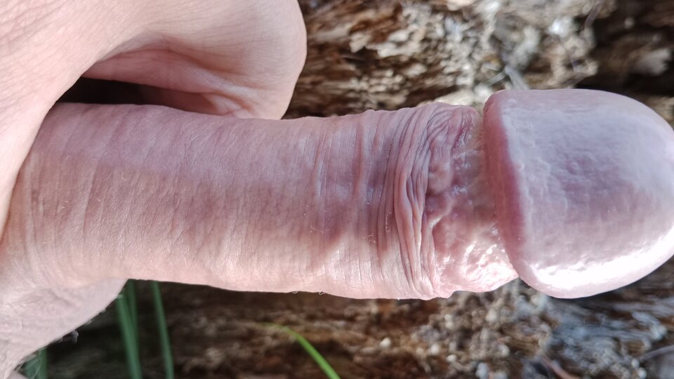 16891815420963678227798764037784.jpg - eroteooo