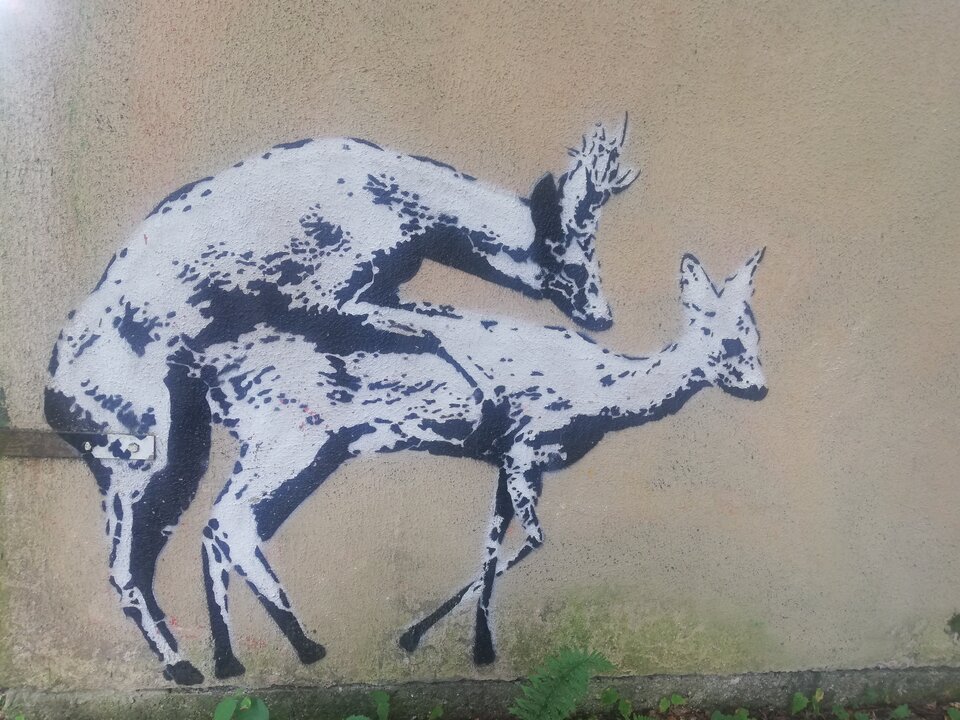 IMG_20190825_152017.jpg - pgpgpg74