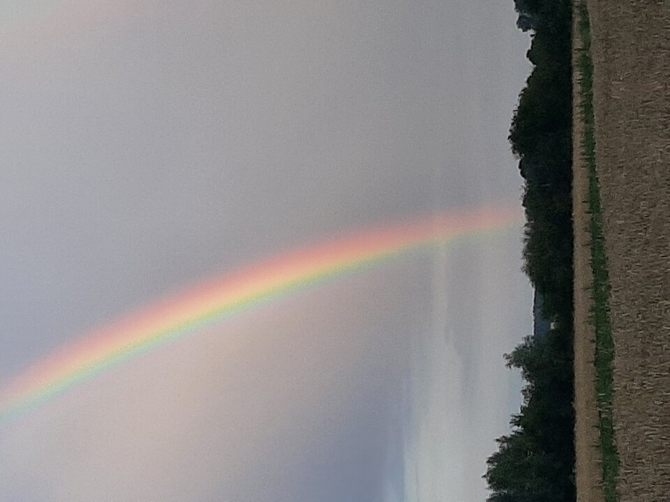 20230713_201441.jpg - Krzyszto1234