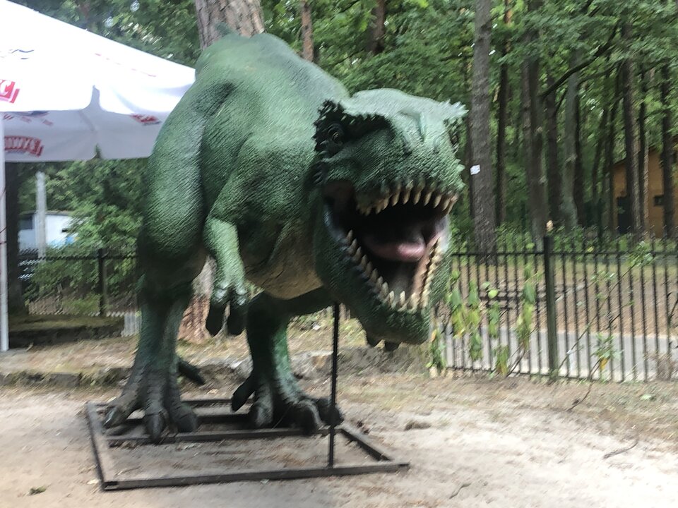 image.jpg - paware3331