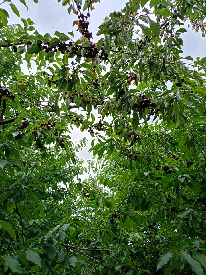 IMG20230714130950.jpg - namietnny38