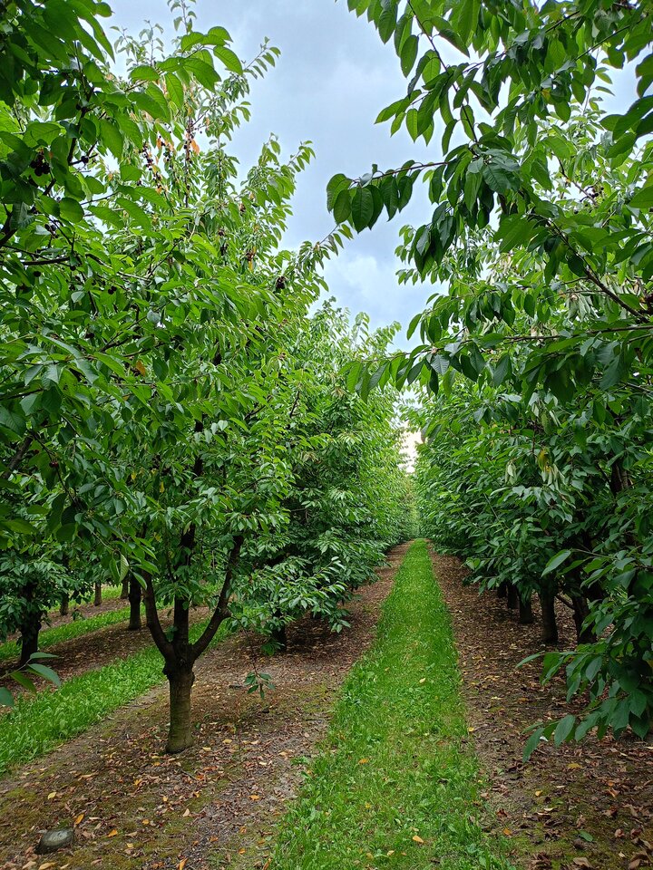 IMG20230714130958.jpg - namietnny38