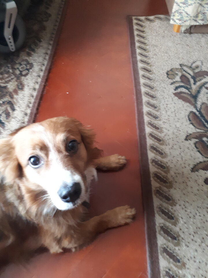 20210926_132433.jpg - pulchna65