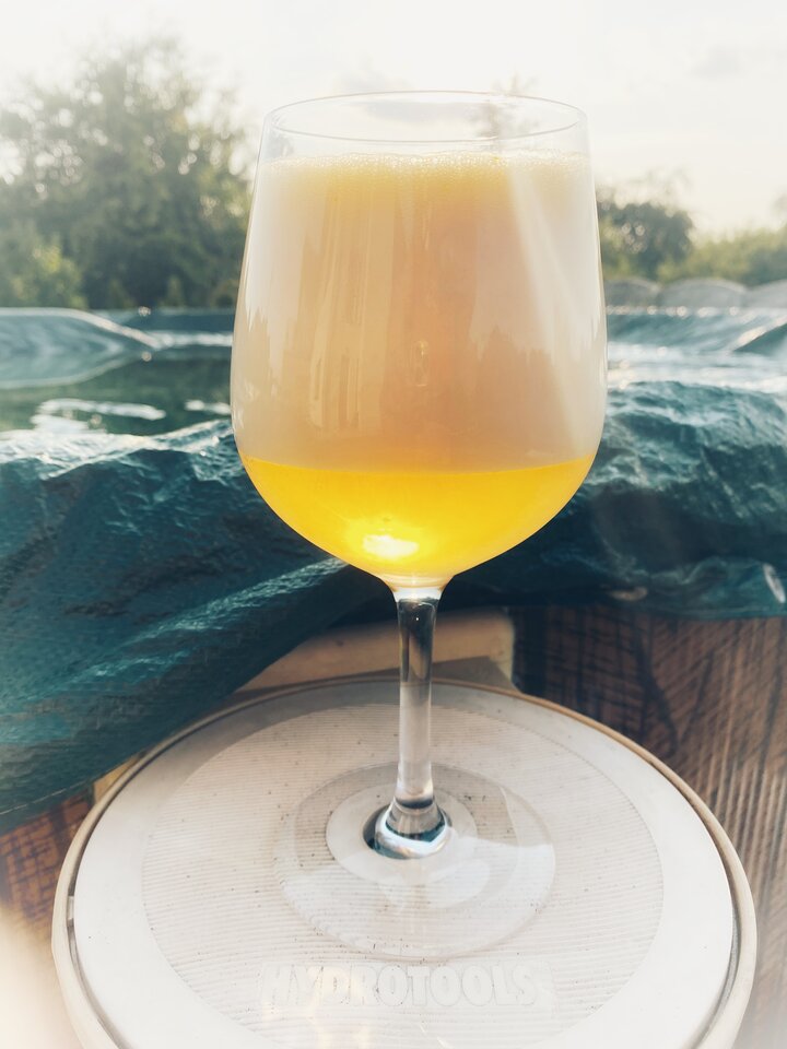 IMG_1981.jpeg - serialowapara19782