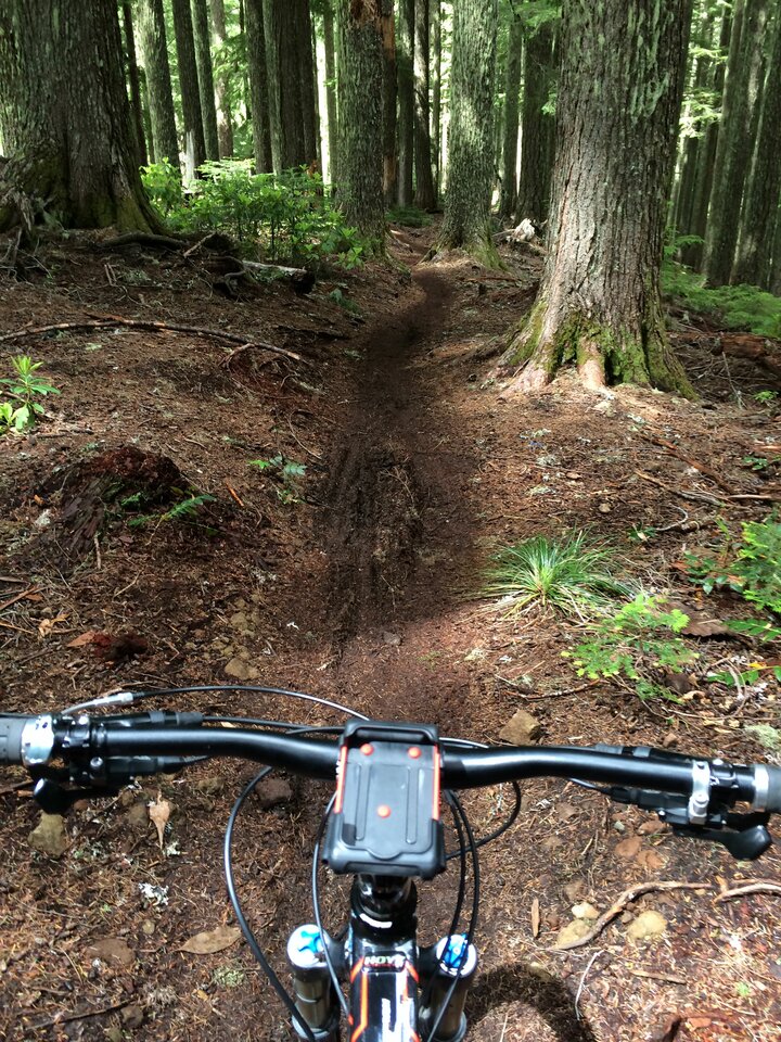 IMG20230702.jpg - Krisstofer87