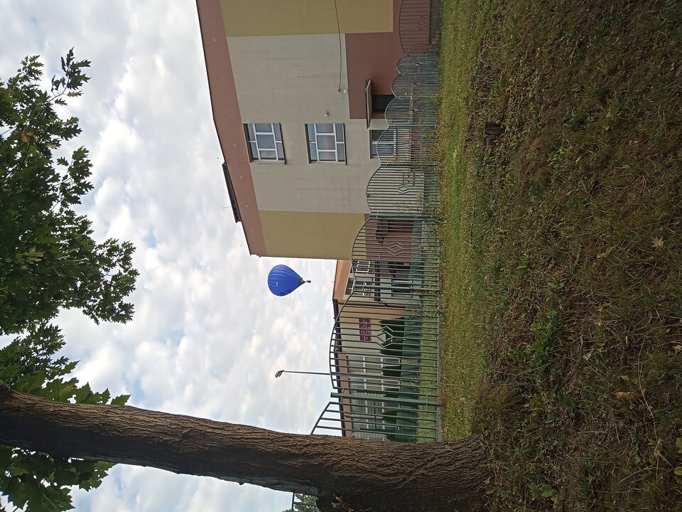 20230715_062848.jpg - Gonzales6710