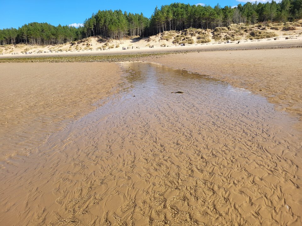 20230415_152321.jpg - NessPara2020