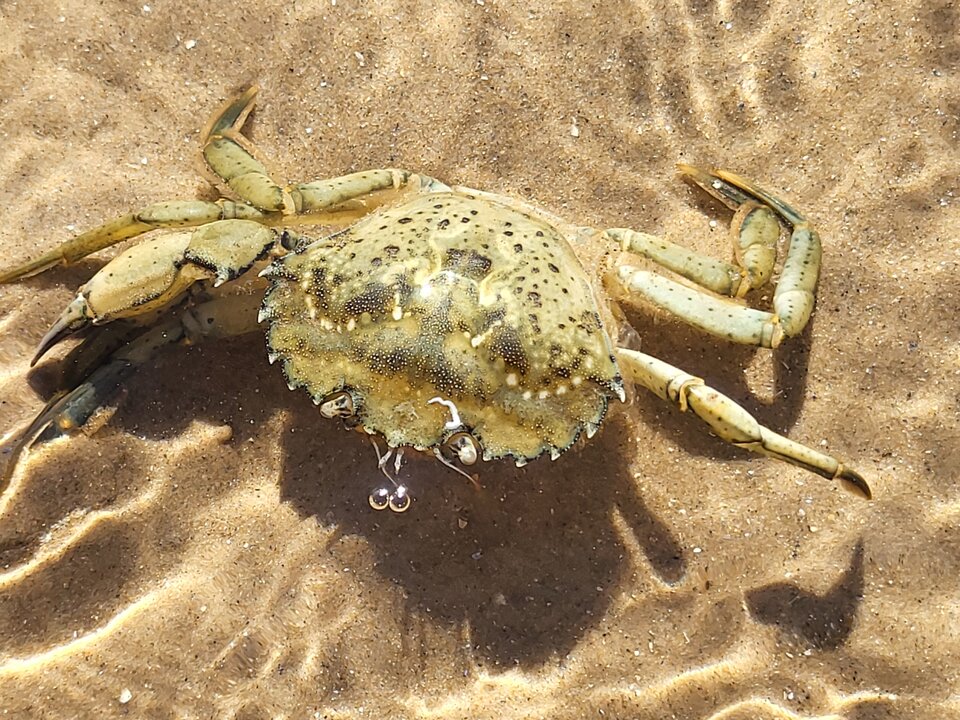 20230415_152105.jpg - NessPara2020