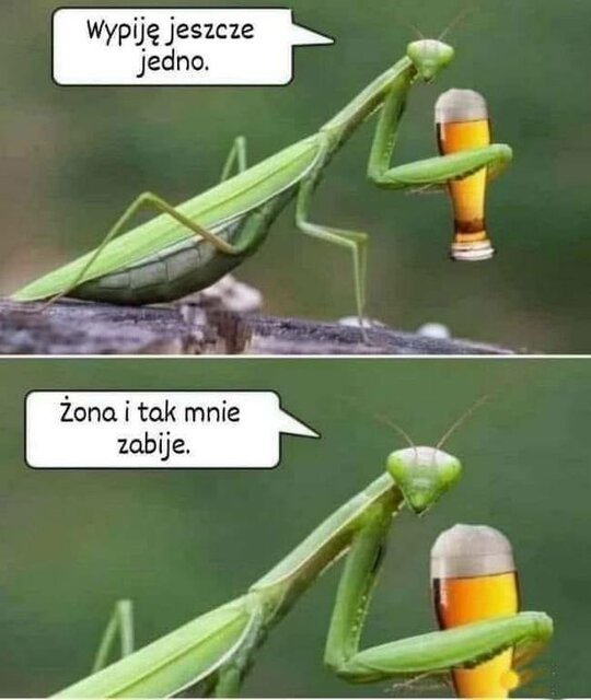 piwko.jpg - EternalFeeling