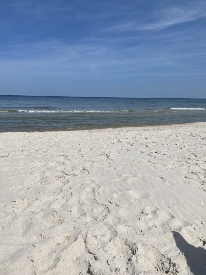 IMG_2310.jpeg - Ulegla4m1k