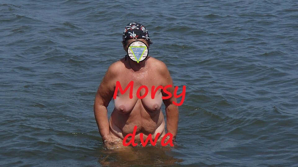 W otmętach zatoki. - Morsy_dwa