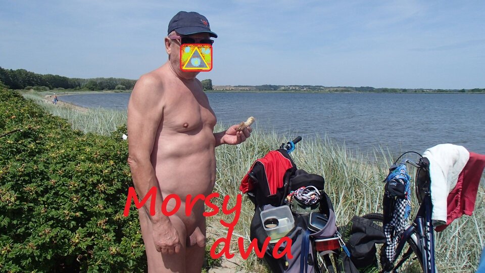 Nad zatoką Pucką. - Morsy_dwa