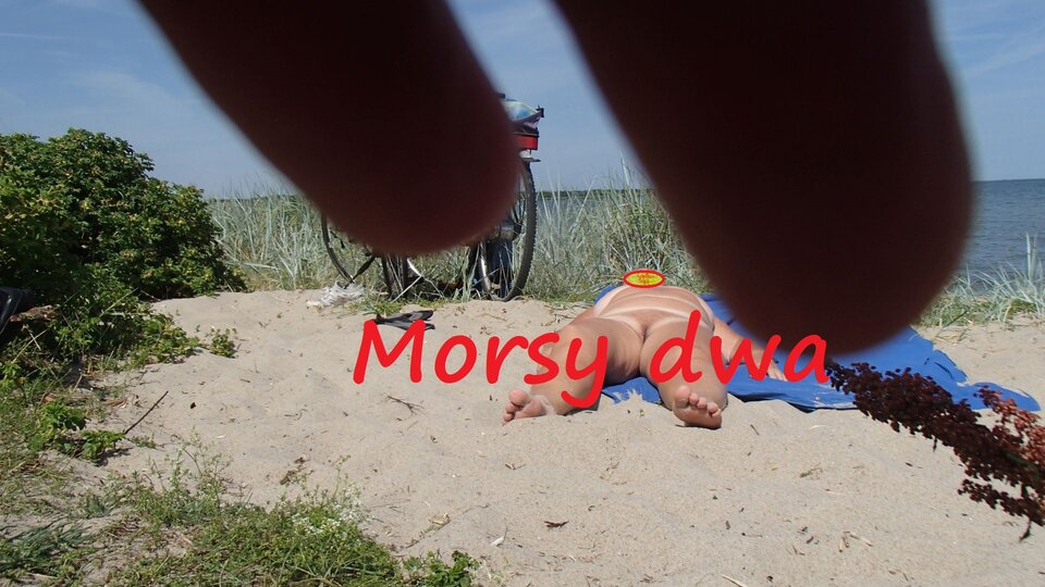Nad zatoką Pucką. - Morsy_dwa